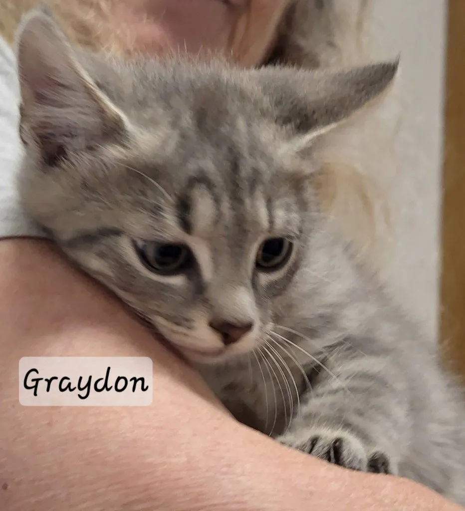 Graydon - Photo 1
