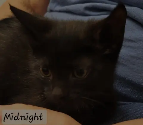 Midnight