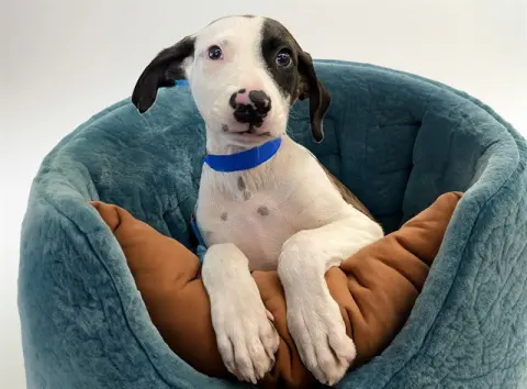 Max