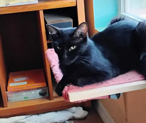 Sabrina