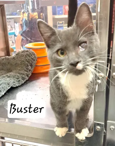 Buster
