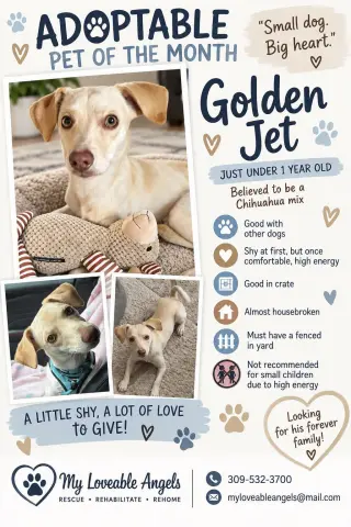 Golden Jet