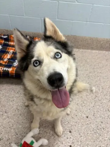 Luna
