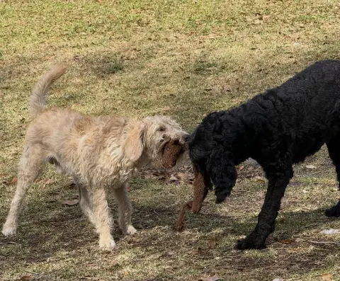 Poseidon thumbnail 4