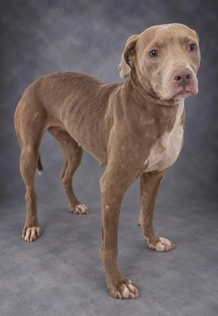 Sasha - Photo 1