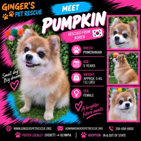 Pumpkin