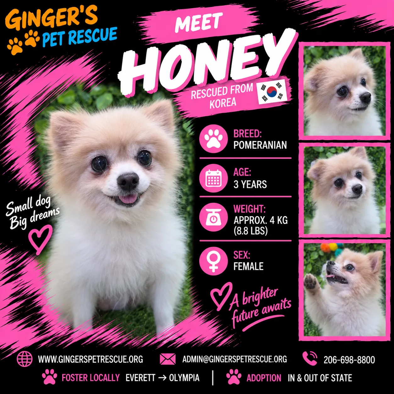 Honey - Photo 1