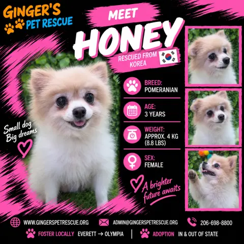 Honey