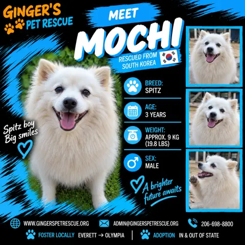 Mochi