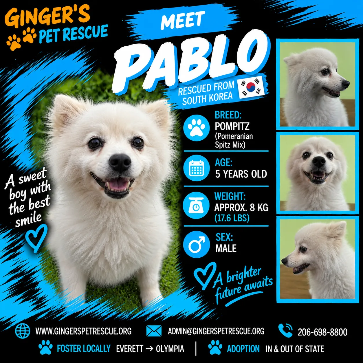 Pablo - Photo 1