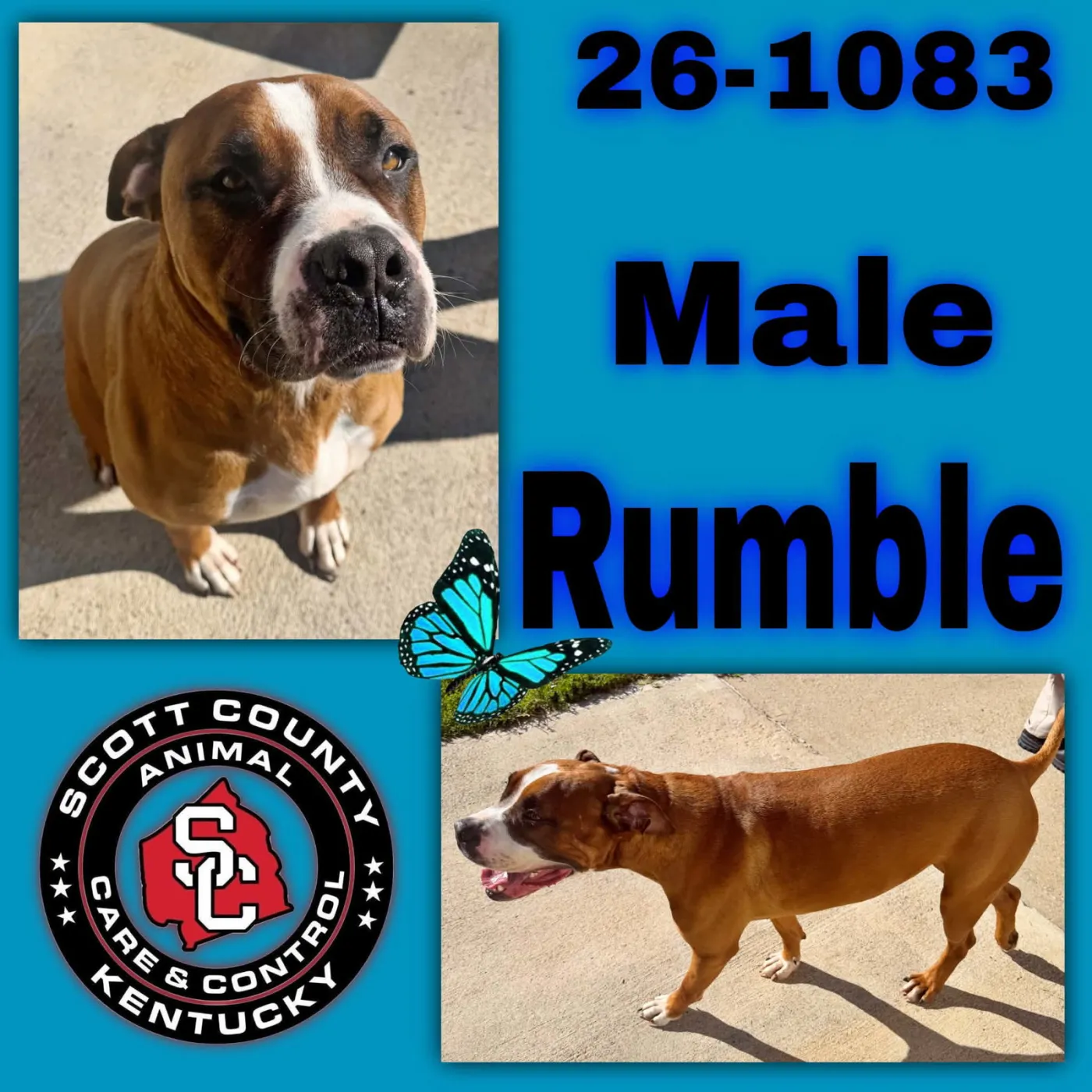 Rumble - Photo 1