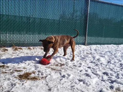 Marley