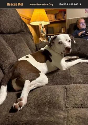 Princess thumbnail 2