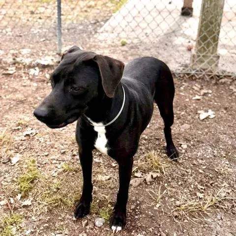 Raven Lynn - Photo 1