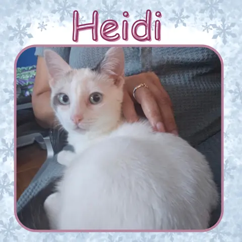 Heidi thumbnail 3