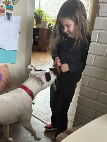 Tinklebell thumbnail 2