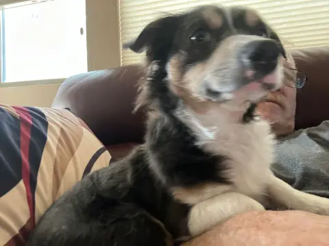 Mr. Shilo thumbnail 5