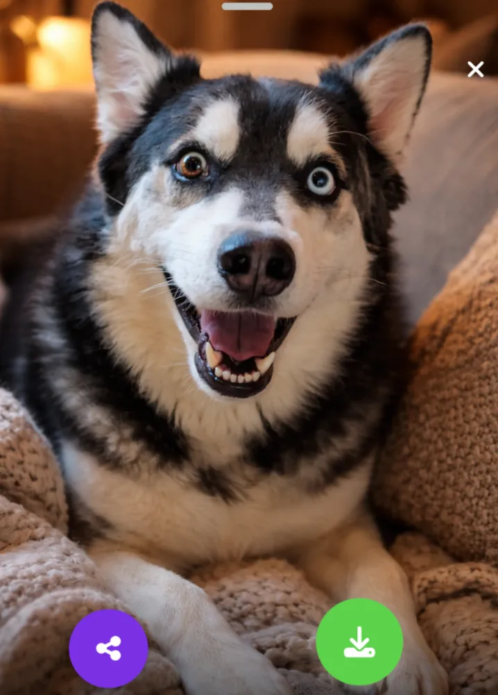 Husker Joe - Photo 2