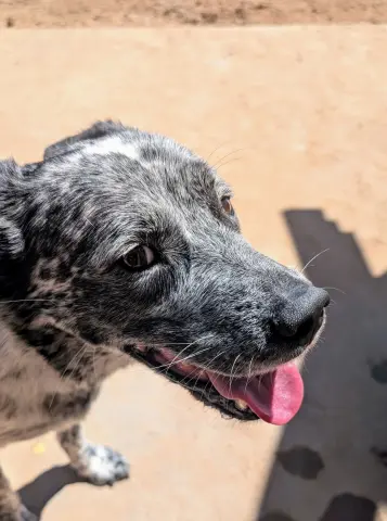 Kingsley thumbnail 2