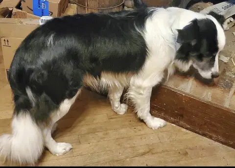 Roosevelt thumbnail 3