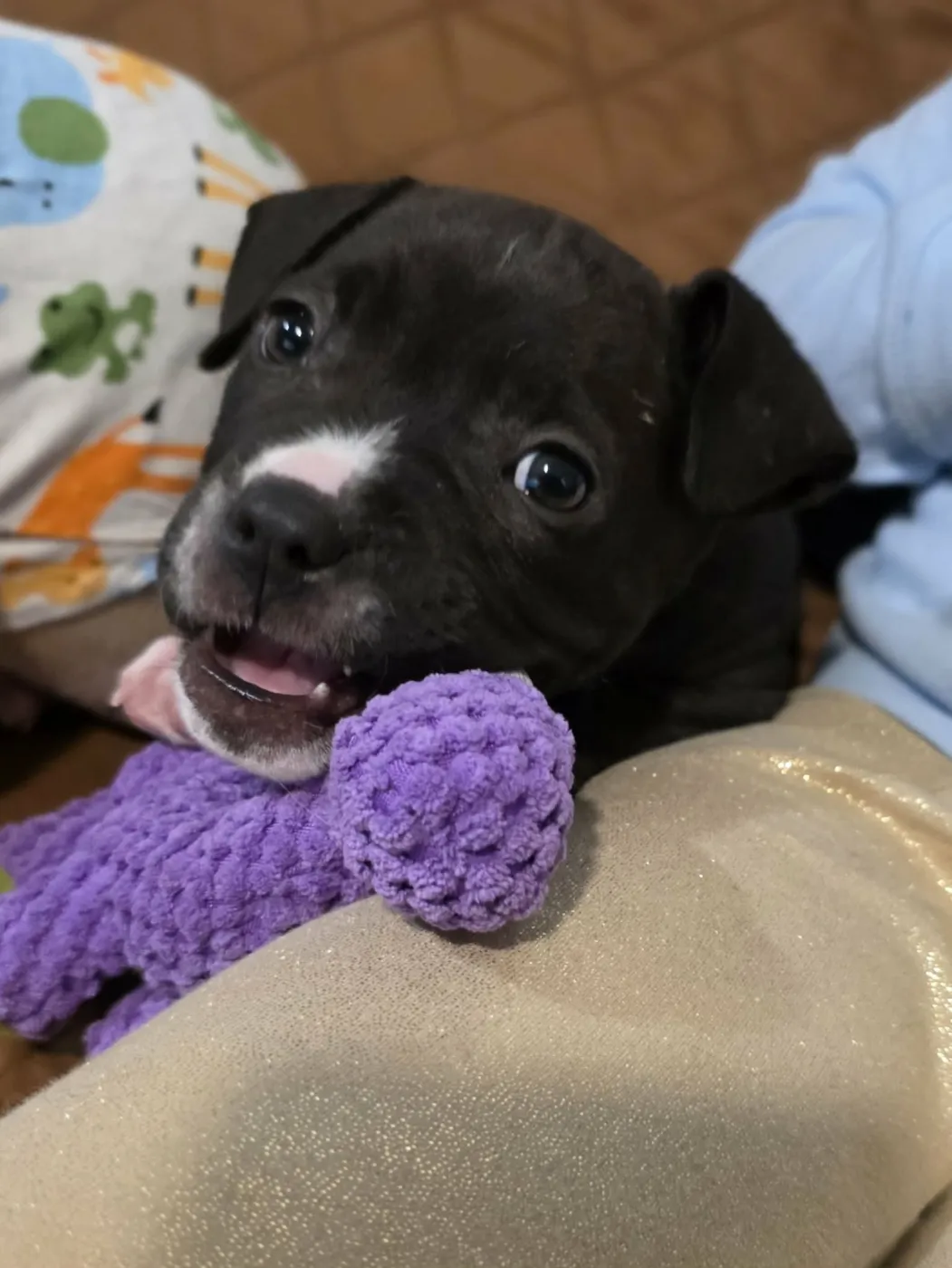 Dr. Bailey - Photo 1