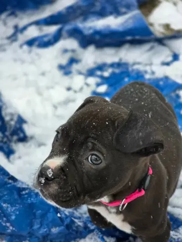 Dr. Bailey thumbnail 2