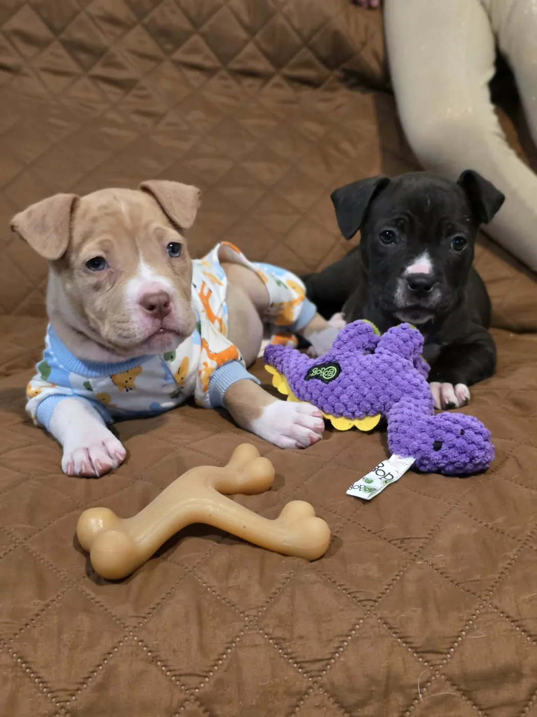 Dr. Bailey - Photo 3