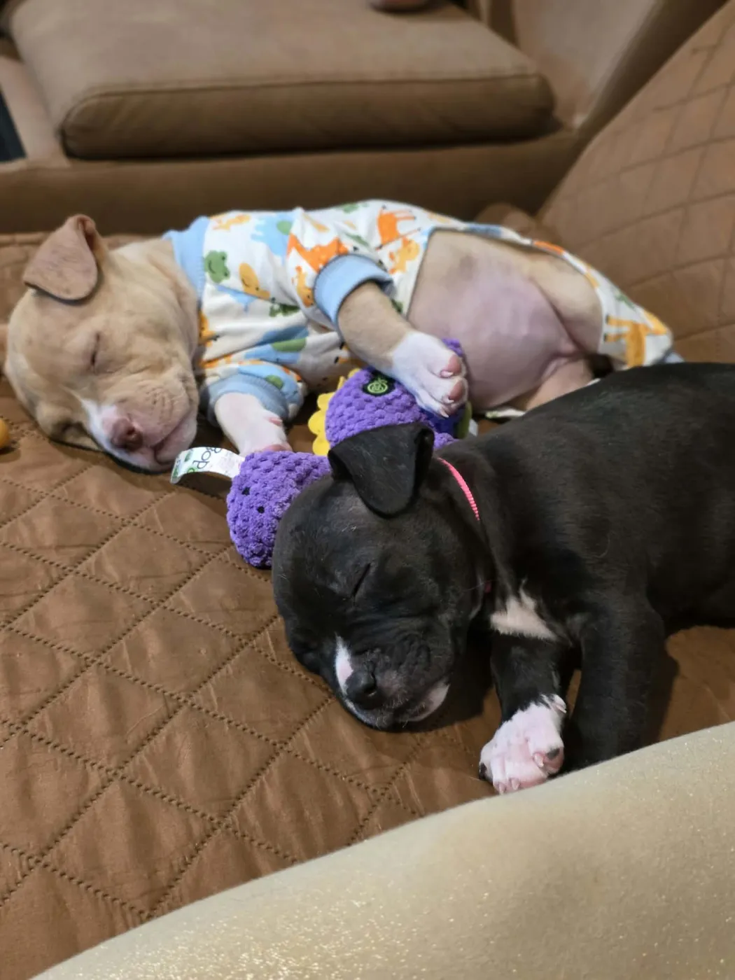 Dr. Bailey - Photo 4