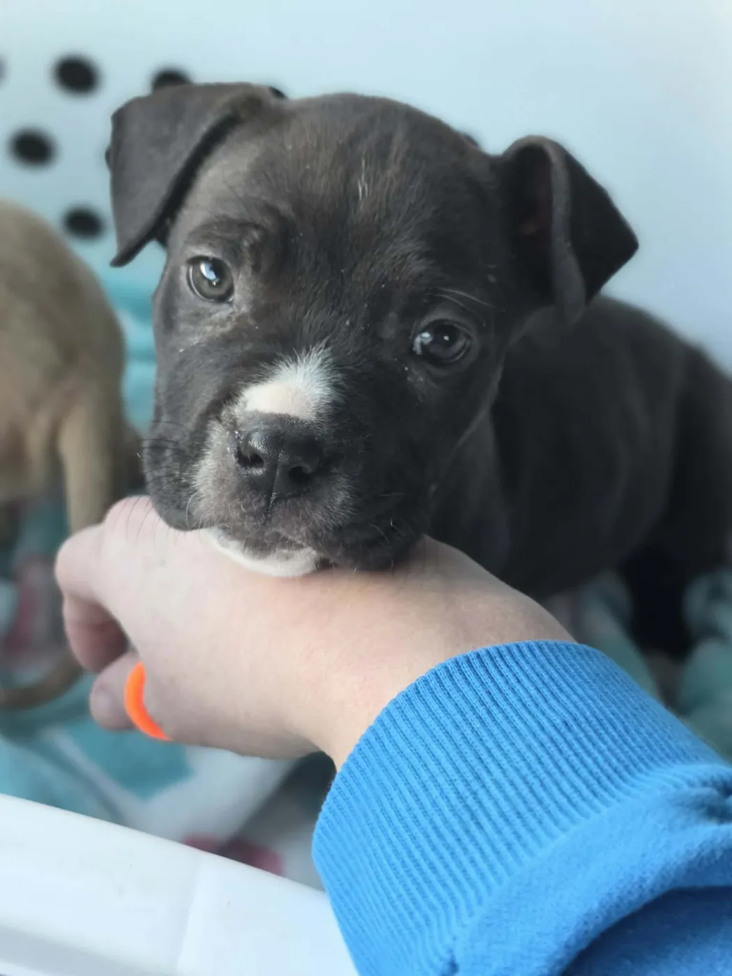 Dr. Bailey - Photo 5