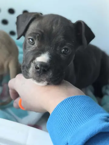 Dr. Bailey thumbnail 5