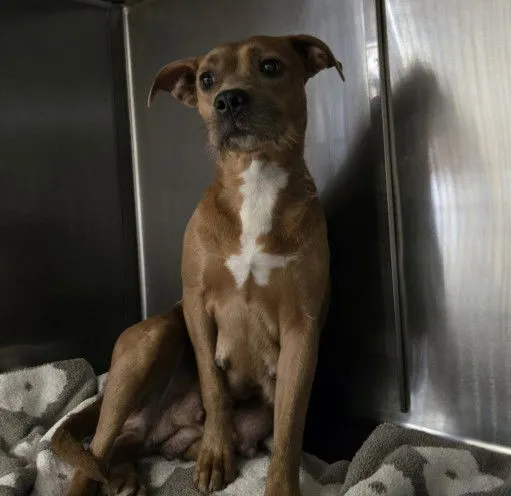 Patty Cakes - Photo 1