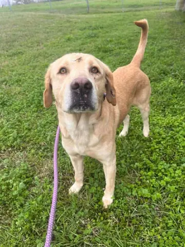 Prince B thumbnail 2