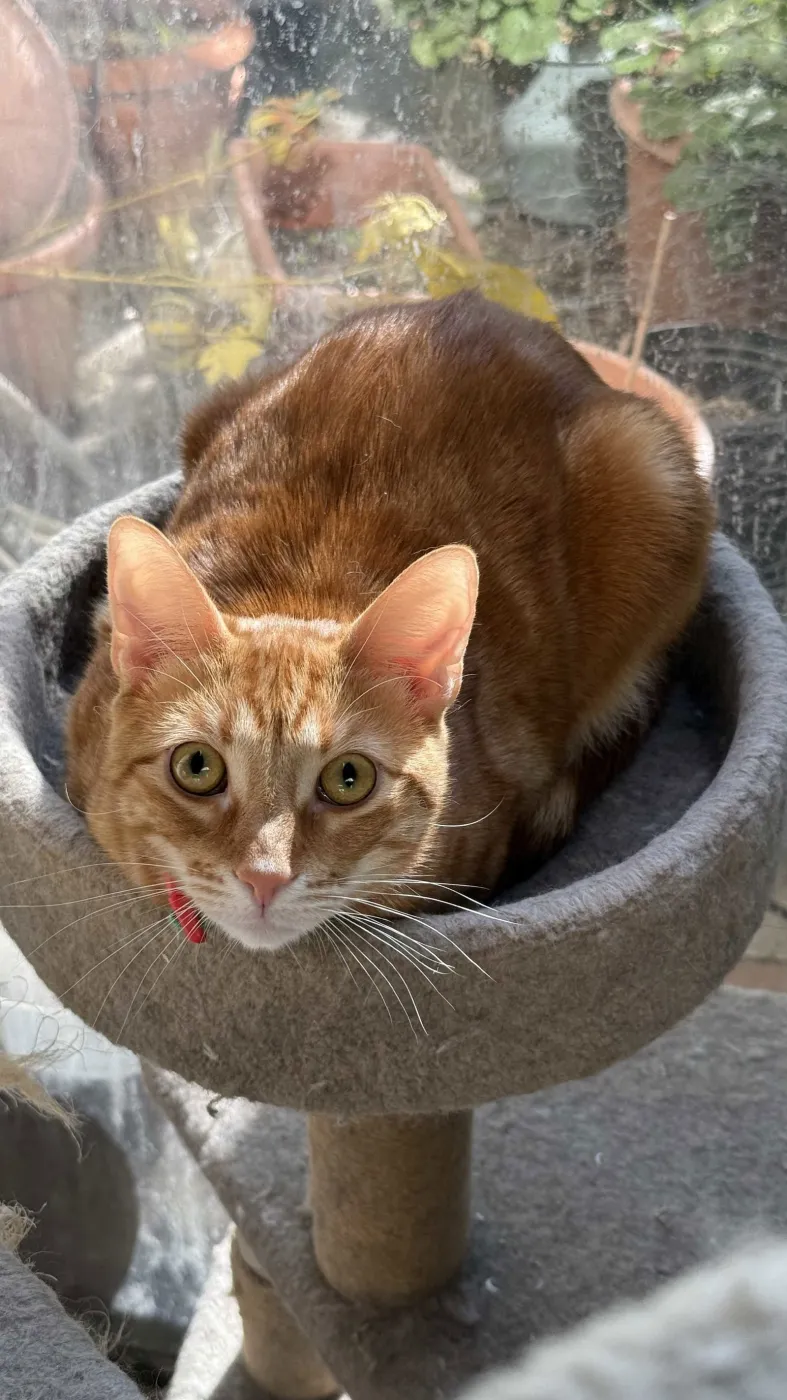 Butterfinger - Photo 1