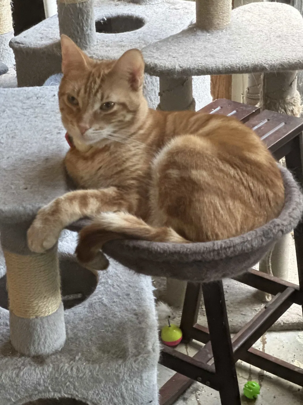 Butterfinger - Photo 3