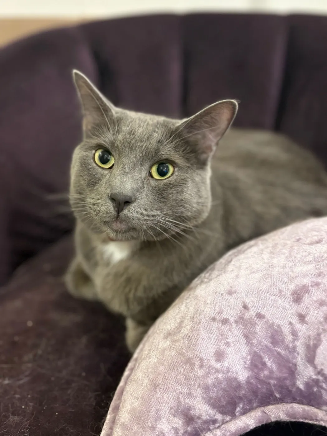 Christian Gray - Photo 1