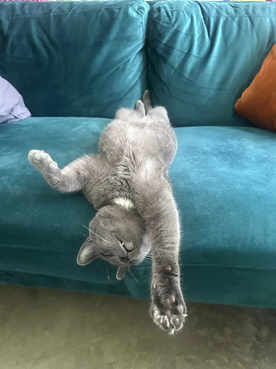 Christian Gray - Photo 3