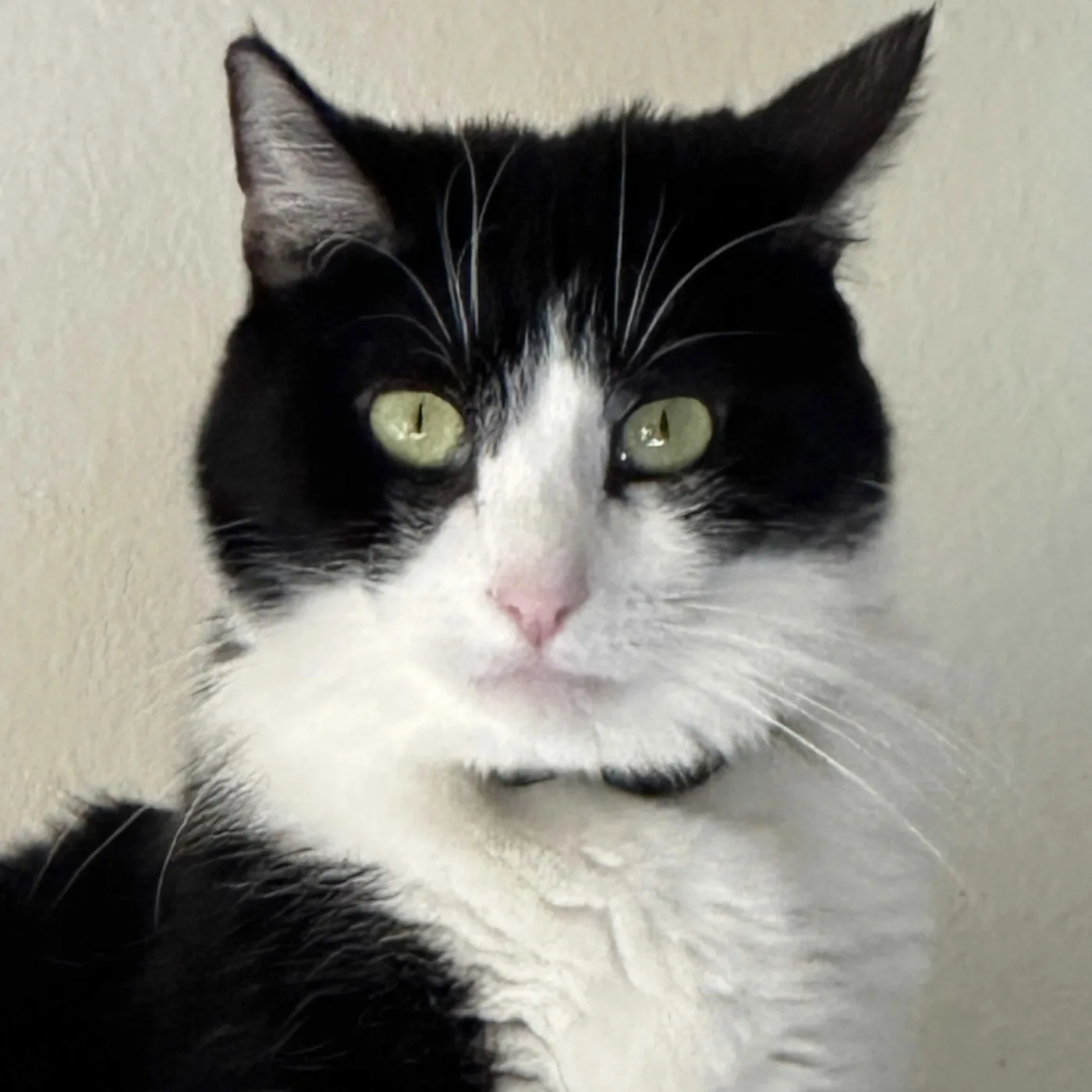 Mariah Purry - Photo 1