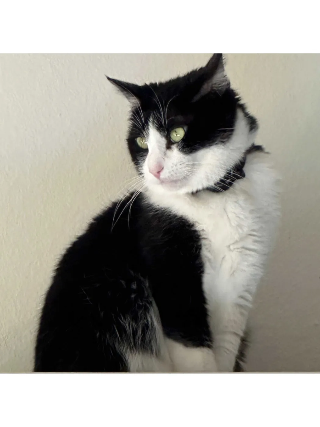 Mariah Purry - Photo 2