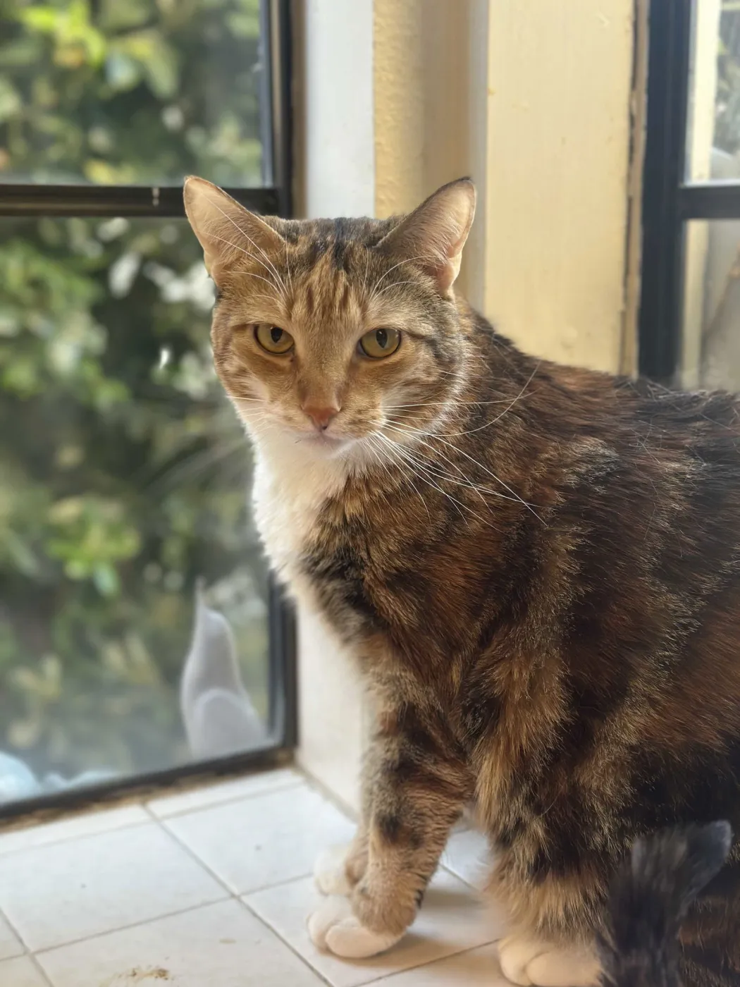 Princess Zelda - Photo 2