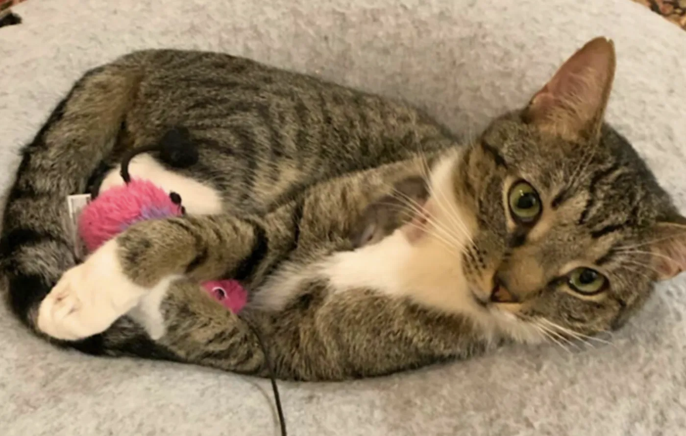 Poppa Bear - Photo 2