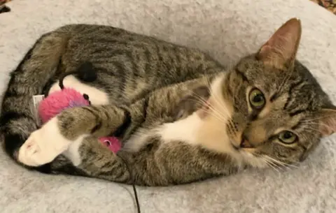 Poppa Bear thumbnail 2