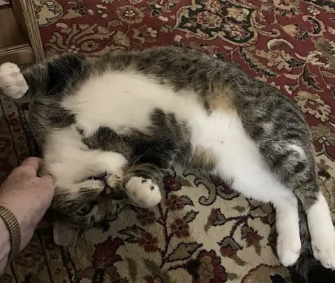 Poppa Bear thumbnail 3